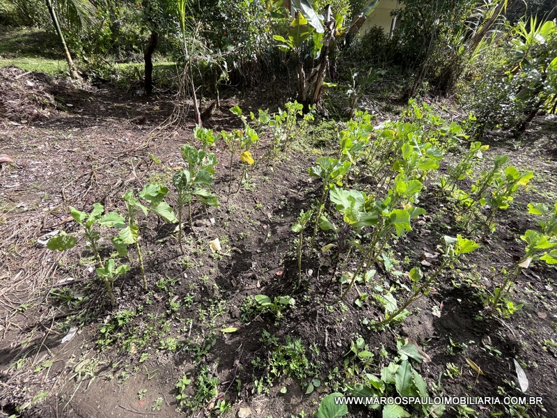 LINDO SÍTIO A MEIO A NATUREZA!!