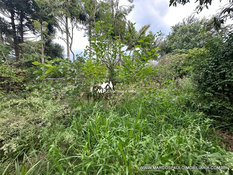LINDA CHÁCARA PARA QUEM BUSCA TRANQUILIDADE!