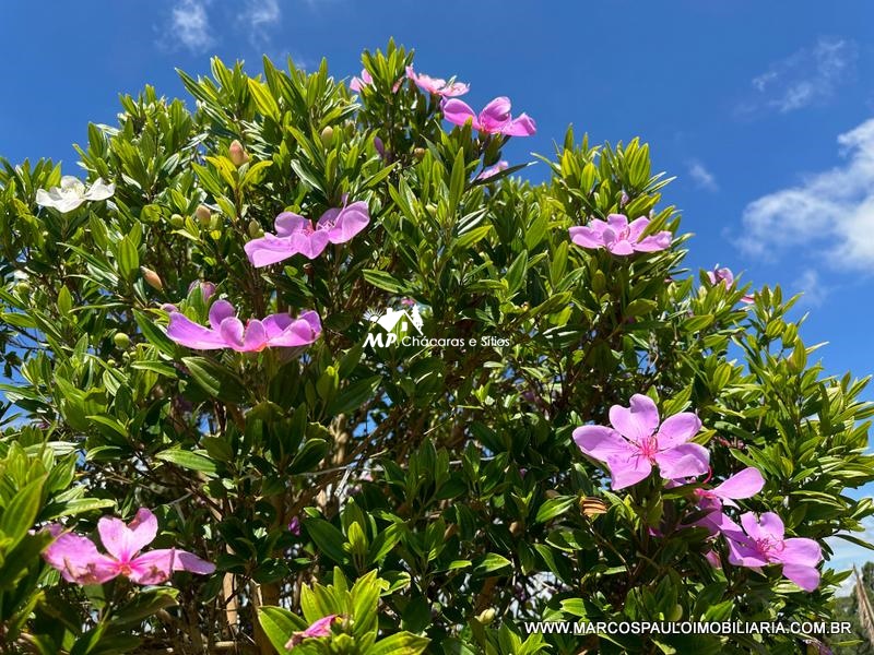 CHÁCARA NOVA EM BIRITIBA MIRIM – PERTINHO DO ASFALTO