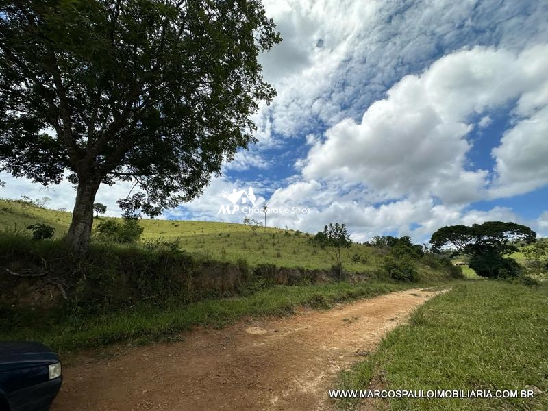 21 ALQUEIRES DISPONÍVEL PARA VENDA