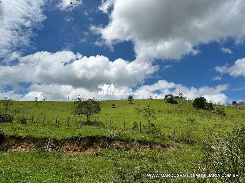 21 ALQUEIRES DISPONÍVEL PARA VENDA