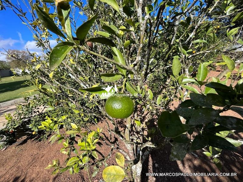 CHÁCARA EXCEPCIONAL PARA TODA FAMÍLIA