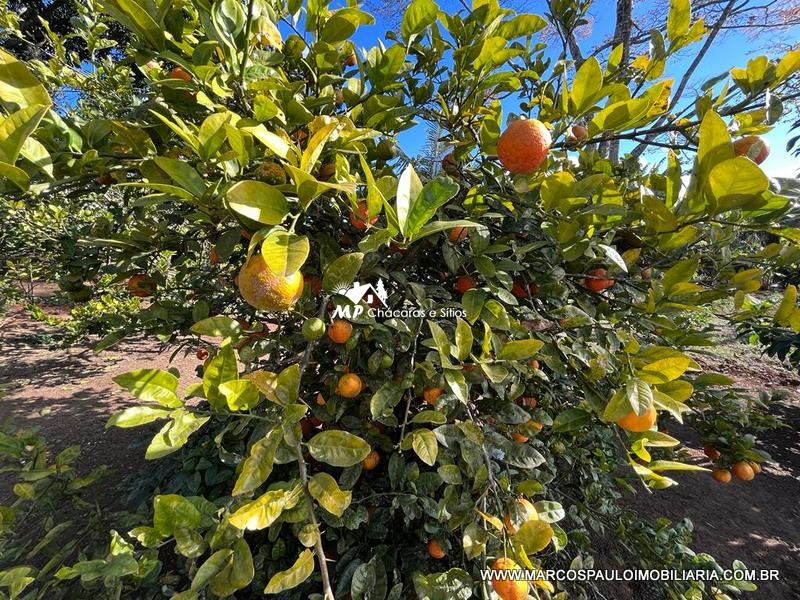 CHÁCARA EXCEPCIONAL PARA TODA FAMÍLIA