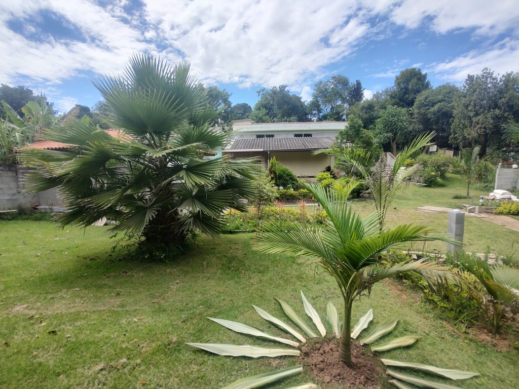 EXCELENTE CHÁCARA DE FÁCIL ACESSO