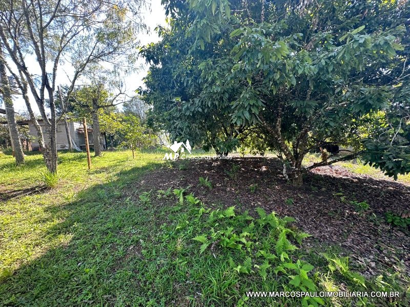 TEREENO EM BIRITIBA MIRIM, PRÓXIMO AO CENTRO.