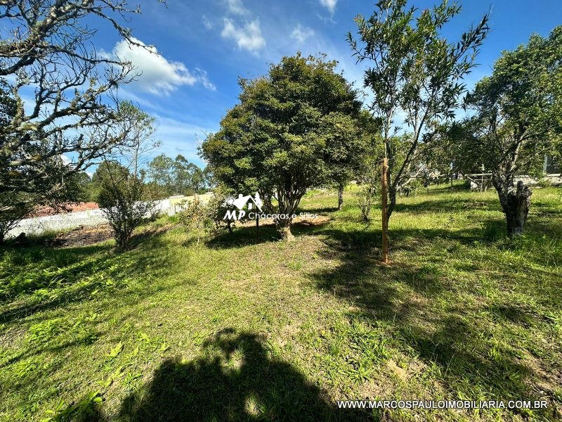 TEREENO EM BIRITIBA MIRIM, PRÓXIMO AO CENTRO.