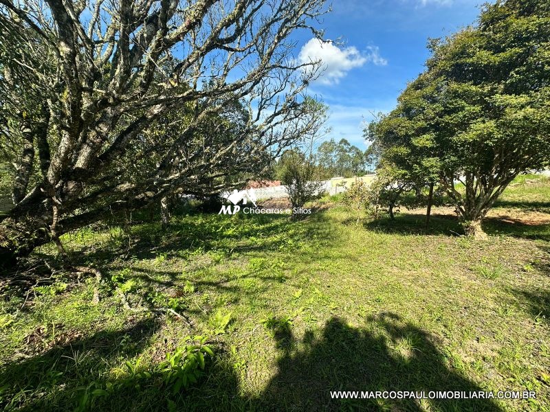 TEREENO EM BIRITIBA MIRIM, PRÓXIMO AO CENTRO.