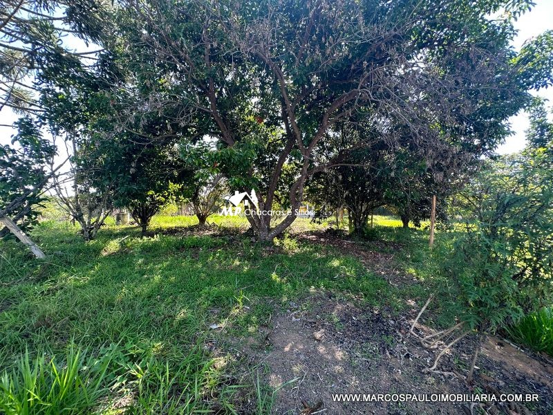 TERRENO PRÓXIMO AO CENTRO DE BIRITIBA MIRIM