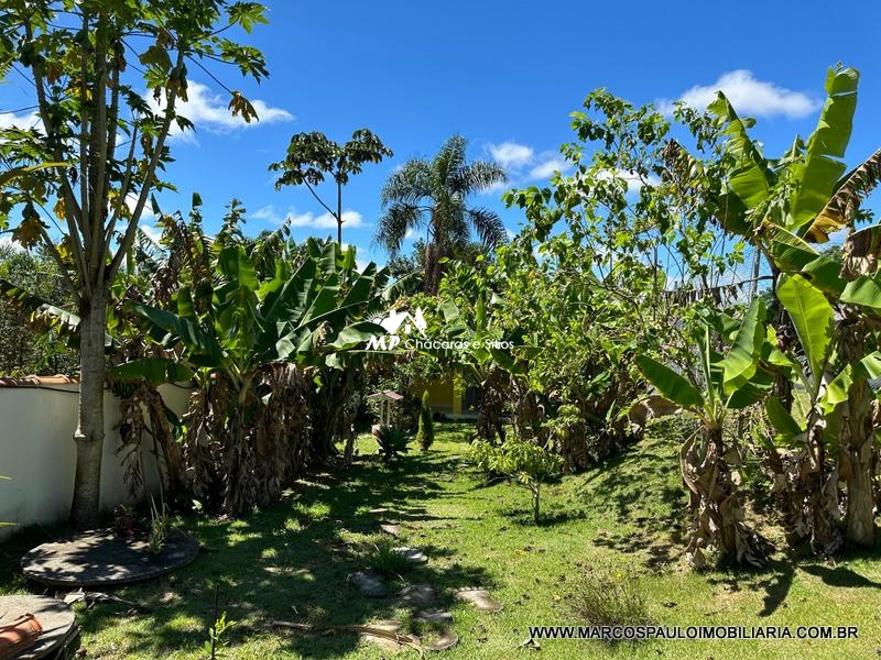 ESPETÁCULO DE CHÁCARA EM BIRITIBA MIRIM