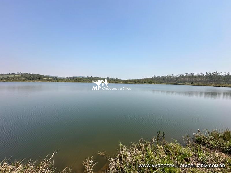 PROPRIEDADE PERFEITACOM 30 ALQUEIRES EM BIRITIBA MIRIM