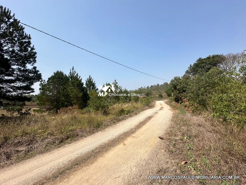 PROPRIEDADE PERFEITACOM 30 ALQUEIRES EM BIRITIBA MIRIM