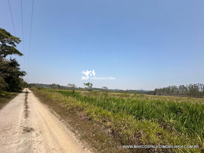 PROPRIEDADE PERFEITACOM 30 ALQUEIRES EM BIRITIBA MIRIM