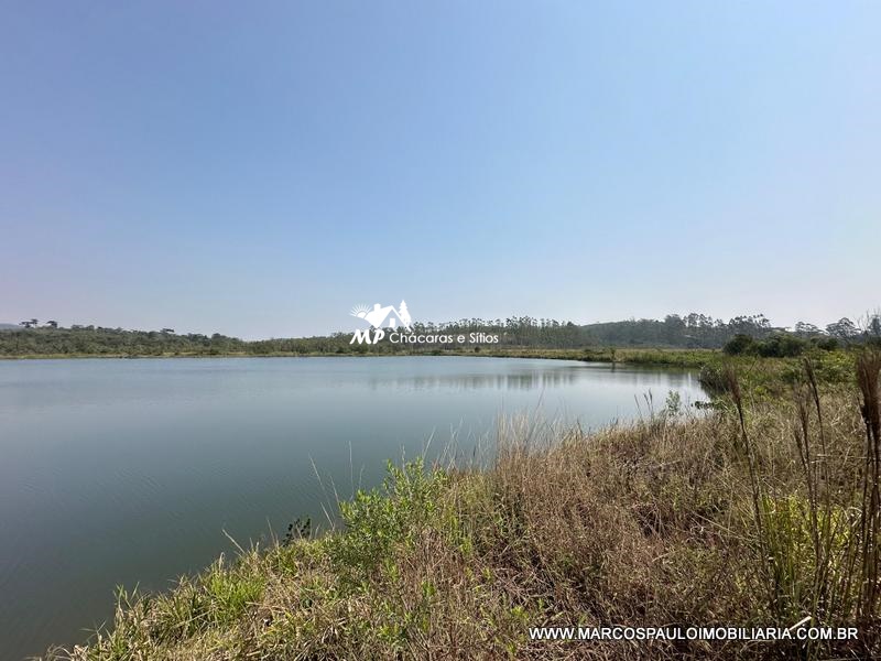 PROPRIEDADE PERFEITACOM 30 ALQUEIRES EM BIRITIBA MIRIM