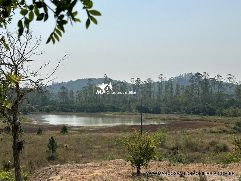 PROPRIEDADE PERFEITACOM 30 ALQUEIRES EM BIRITIBA MIRIM