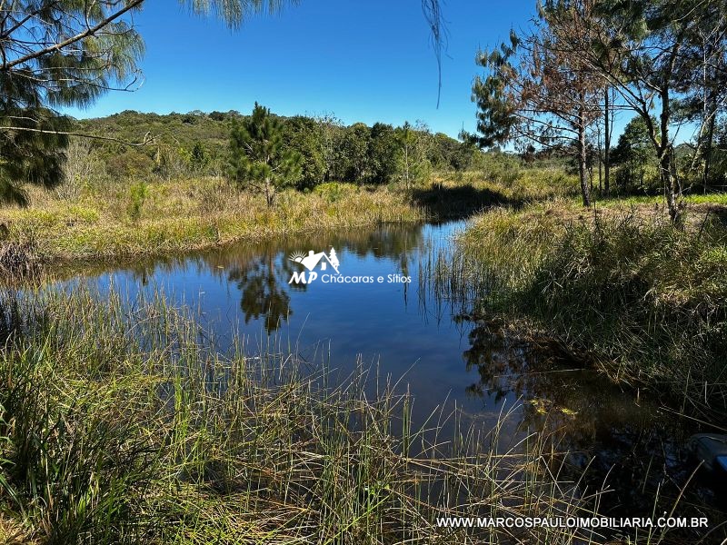 LINDA CHÁCARA EM BIRITIBA USSU