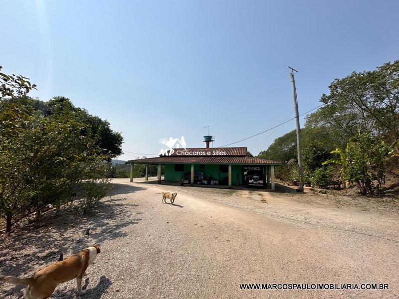 PROPRIEDADE PERFEITACOM 30 ALQUEIRES EM BIRITIBA MIRIM