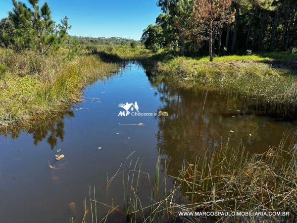 LINDA CHÁCARA EM BIRITIBA USSU