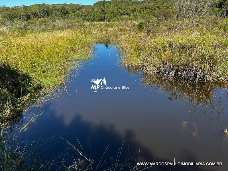 LINDA CHÁCARA EM BIRITIBA USSU
