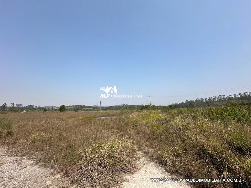 PROPRIEDADE PERFEITACOM 30 ALQUEIRES EM BIRITIBA MIRIM