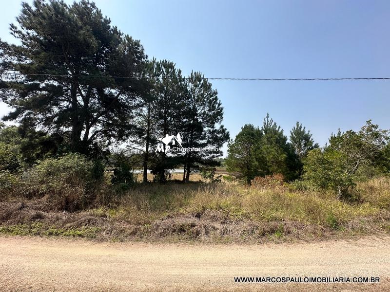 PROPRIEDADE PERFEITACOM 30 ALQUEIRES EM BIRITIBA MIRIM