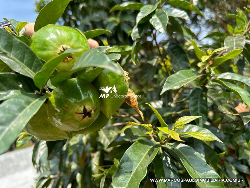 CHÁCARA COMPLETA EM BIRITIBA MIRIM