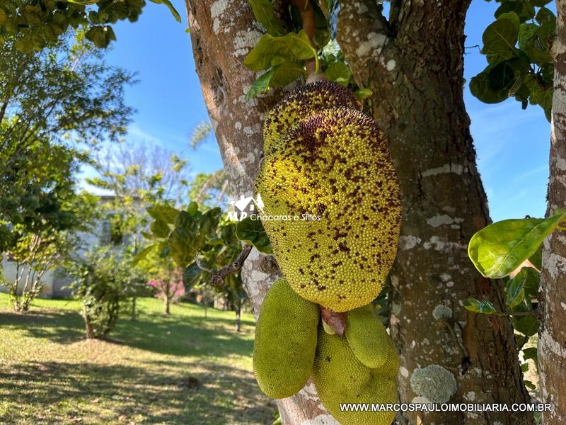 CHÁCARA ESCRITURADA EM BIRITIBA MIRIM