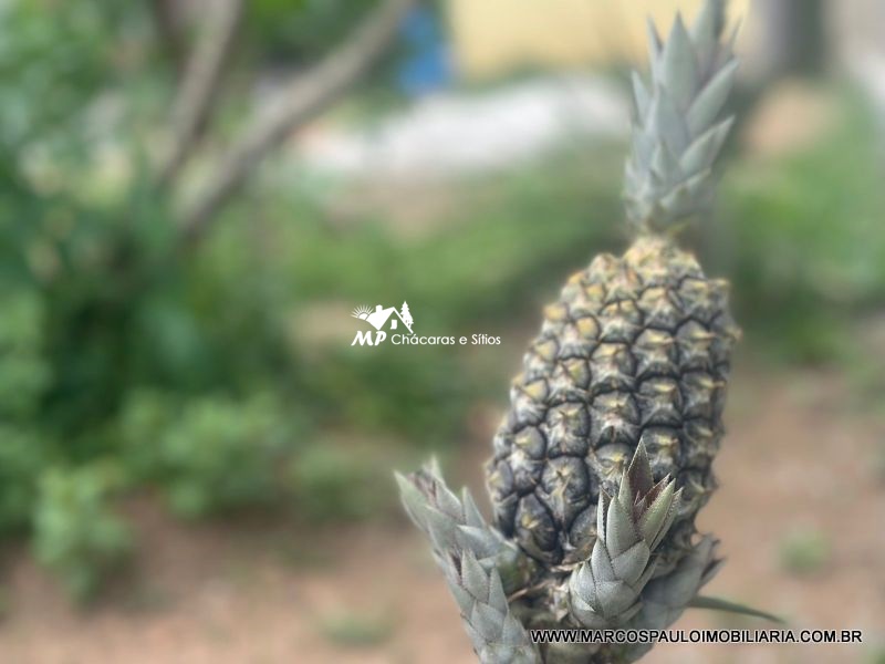 SÍTIO ENCANTADOR EM MOGI DAS CRUZES