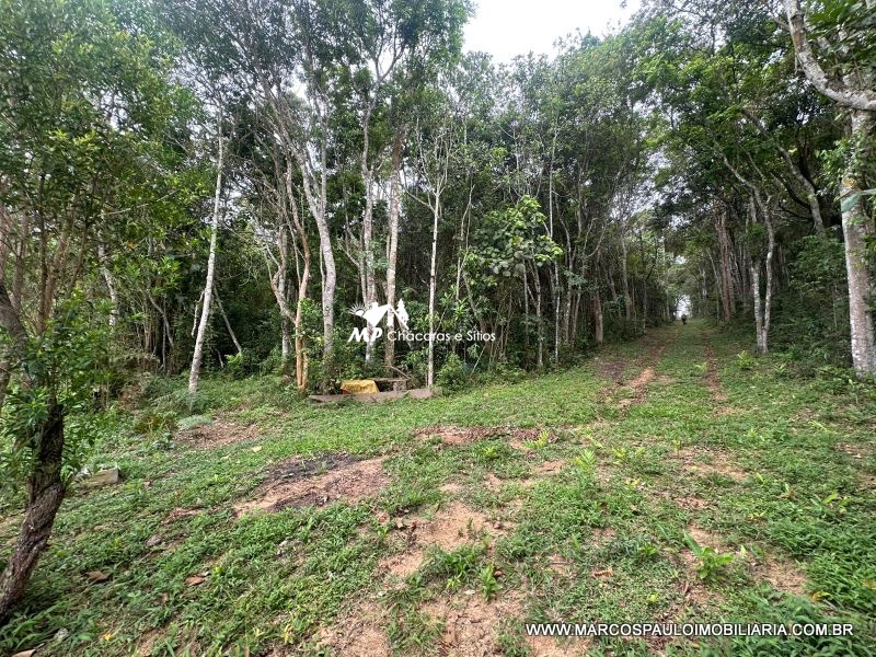 UM PARAÍSO EM MOGI DAS CRUZES