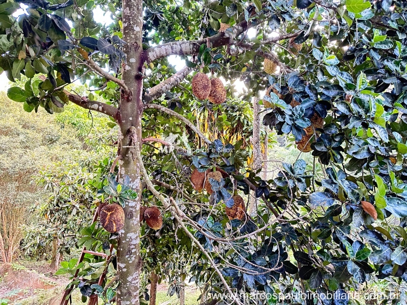 CHÁCARA NA REGIÃO DE MOGI DAS CRUZES
