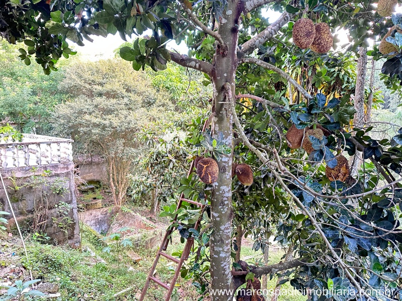 CHÁCARA NA REGIÃO DE MOGI DAS CRUZES