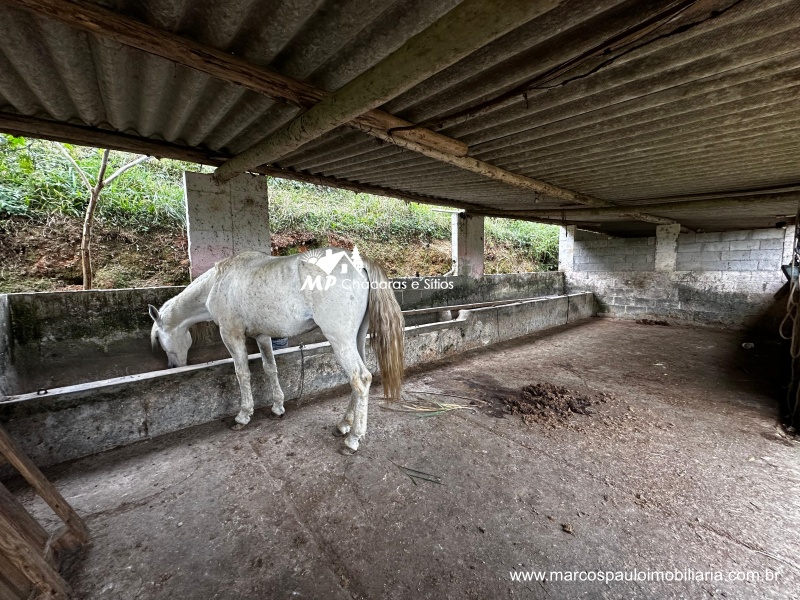 CHÁCARA COM 2 CASAS