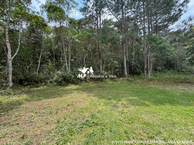 CHÁCARA MARAVILHOSA COM 3 LAGOS