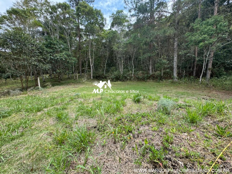 CHÁCARA MARAVILHOSA COM 3 LAGOS