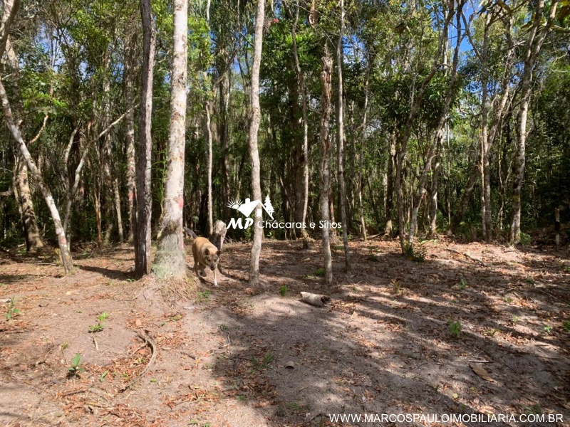 ESPETÁCULO DE CHÁCARA
