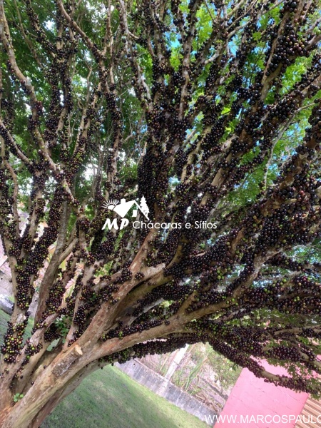 ESPETÁCULO DE CHÁCARA