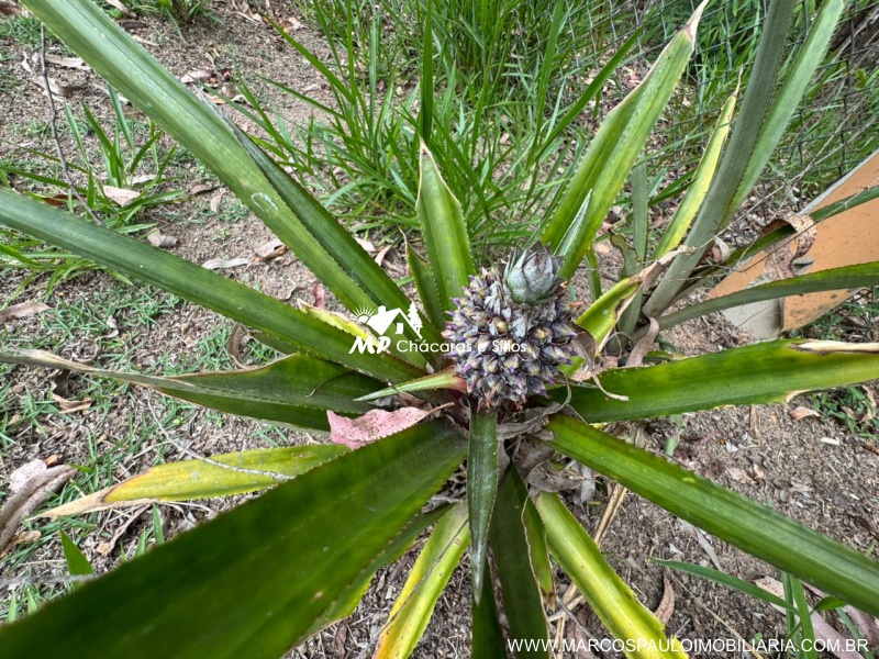 CHÁCARA FUNDOS PARA REPRESA