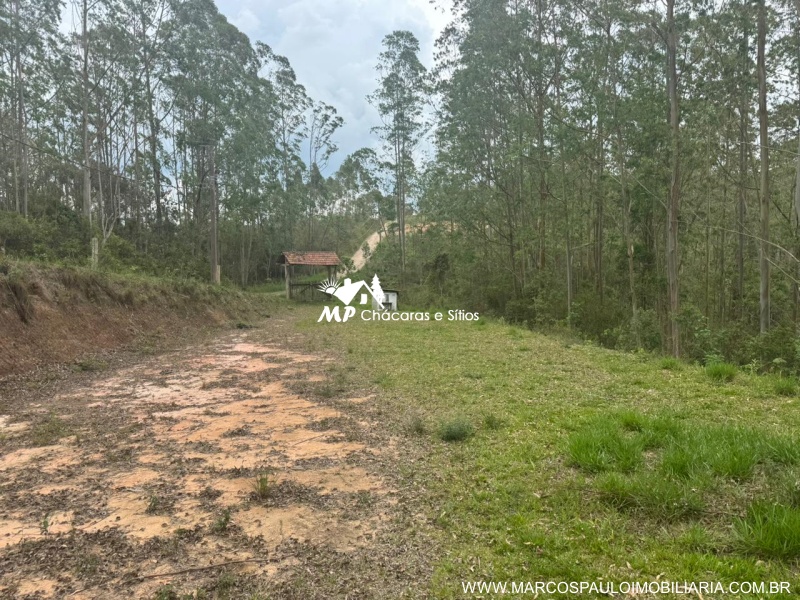 TERRENO PÉ NA ÁGUA