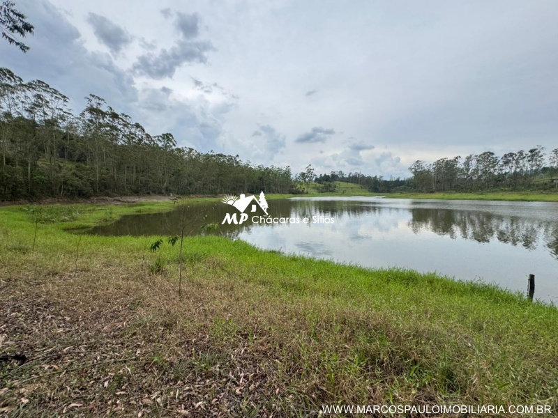 TERRENO PÉ NA ÁGUA