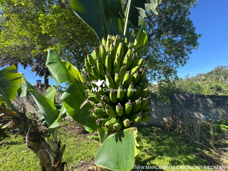 CHÁCARA MARAVILHOSA EM BIRITIBA MIRIM