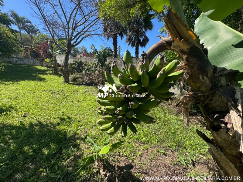 CHÁCARA MARAVILHOSA EM BIRITIBA MIRIM