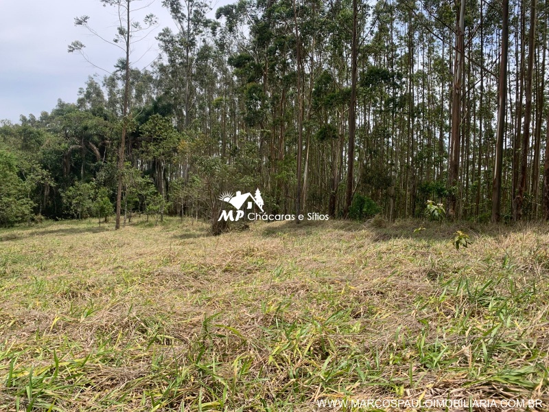 LINDO SÍTIO EM GUARAREMA