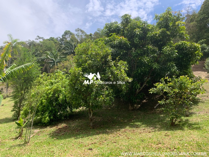 LINDO SÍTIO EM GUARAREMA