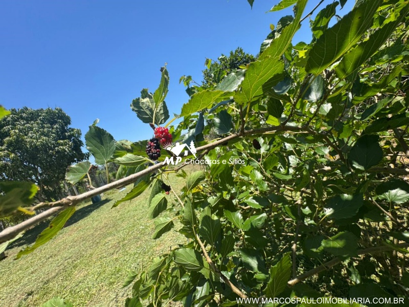 CHÁCARA PARA  QUEM BUSCA TRANQUILIDADE