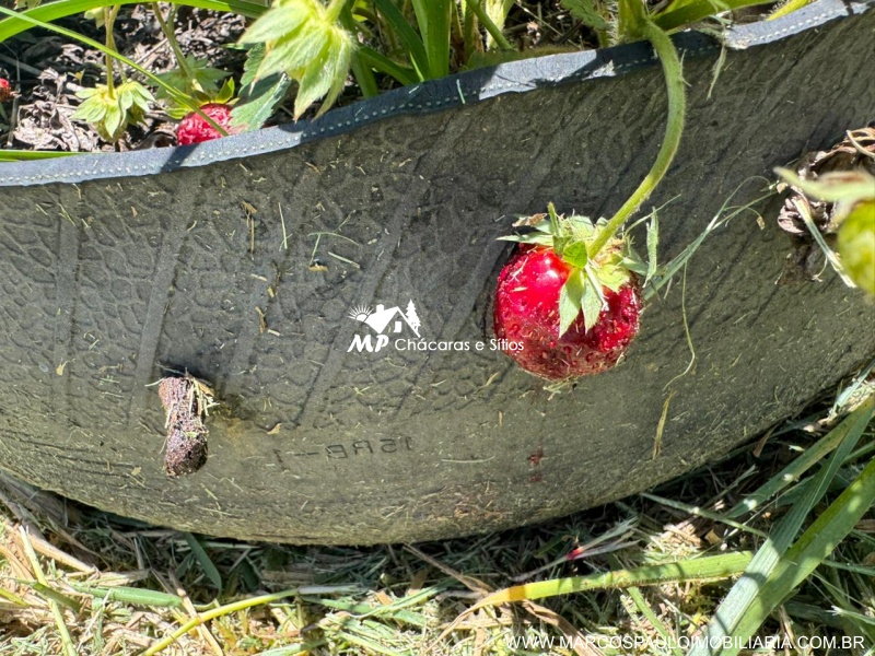 CHÁCARA PARA  QUEM BUSCA TRANQUILIDADE