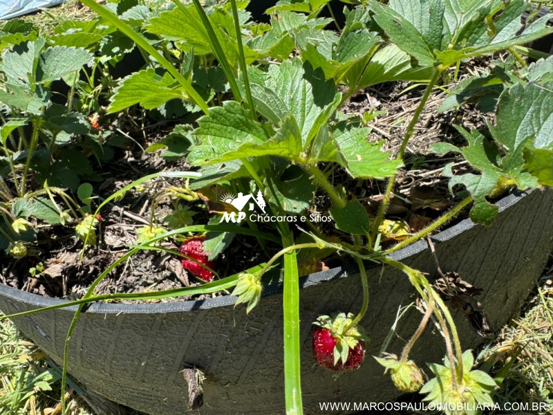 CHÁCARA PARA  QUEM BUSCA TRANQUILIDADE