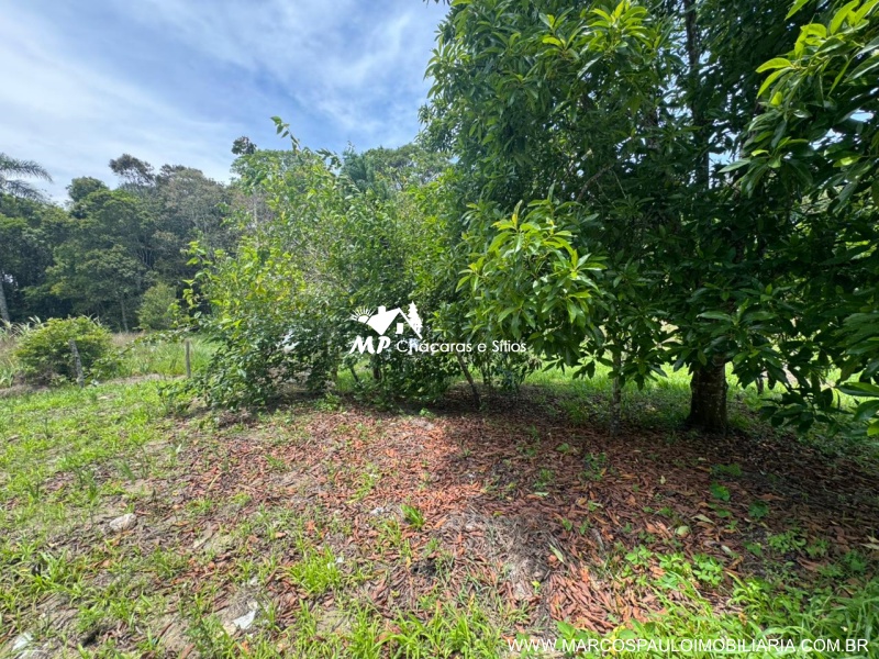 CHÁCARA CONTENDO 2 CASAS EM BIRITIBA MIRIM