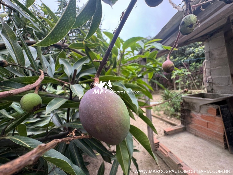 CHÁCARA SIMPLES PARA MORADIA EM BIRITIBA MIRIM