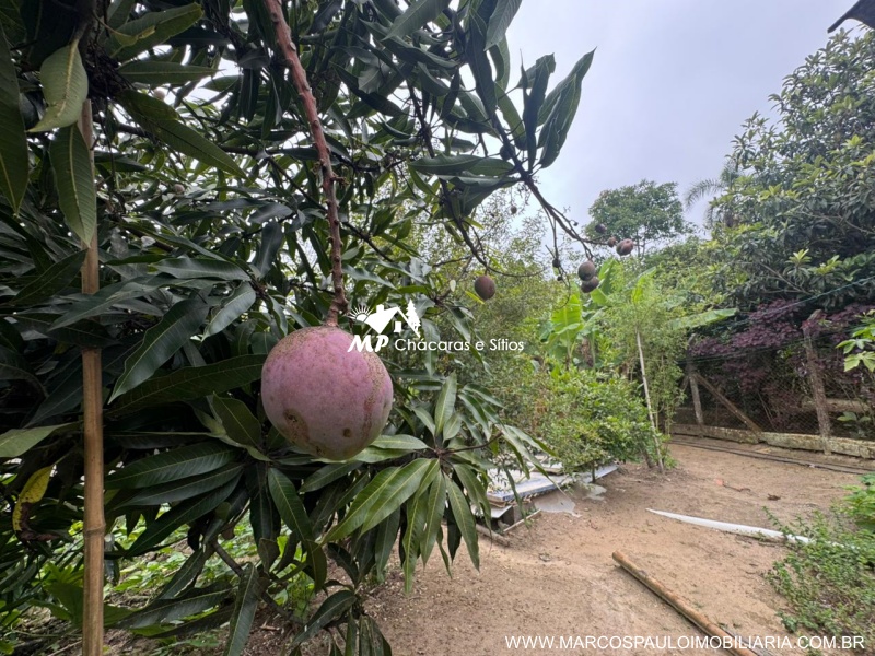 CHÁCARA SIMPLES PARA MORADIA EM BIRITIBA MIRIM