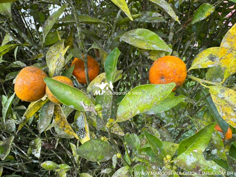 CHÁCARA PLANA COM LAGO GRANDE