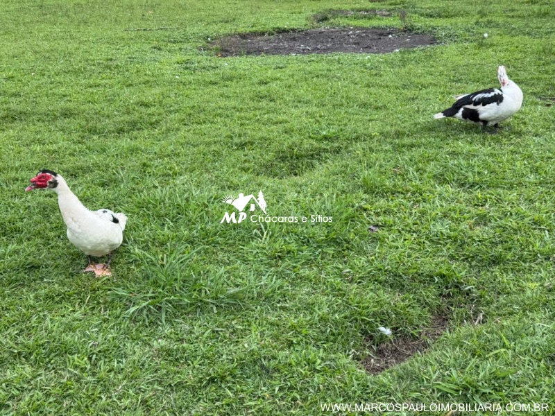 CHÁCARA PLANA COM LAGO GRANDE